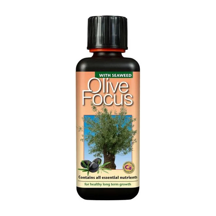 Olive Focus 1 Liter