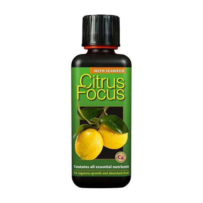 Citrus Focus 1 Liter