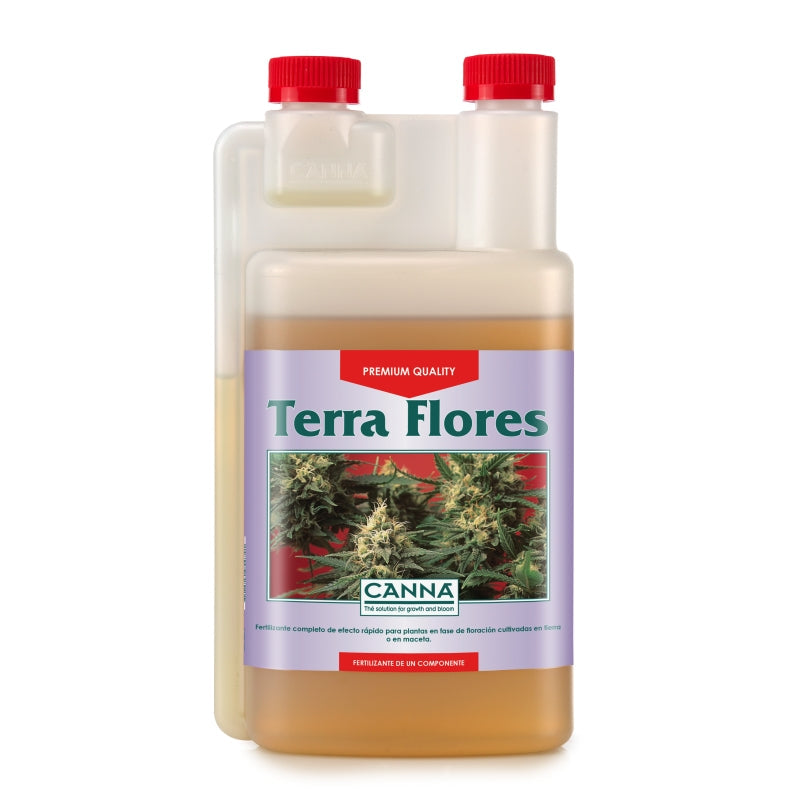 Canna Terra Flores