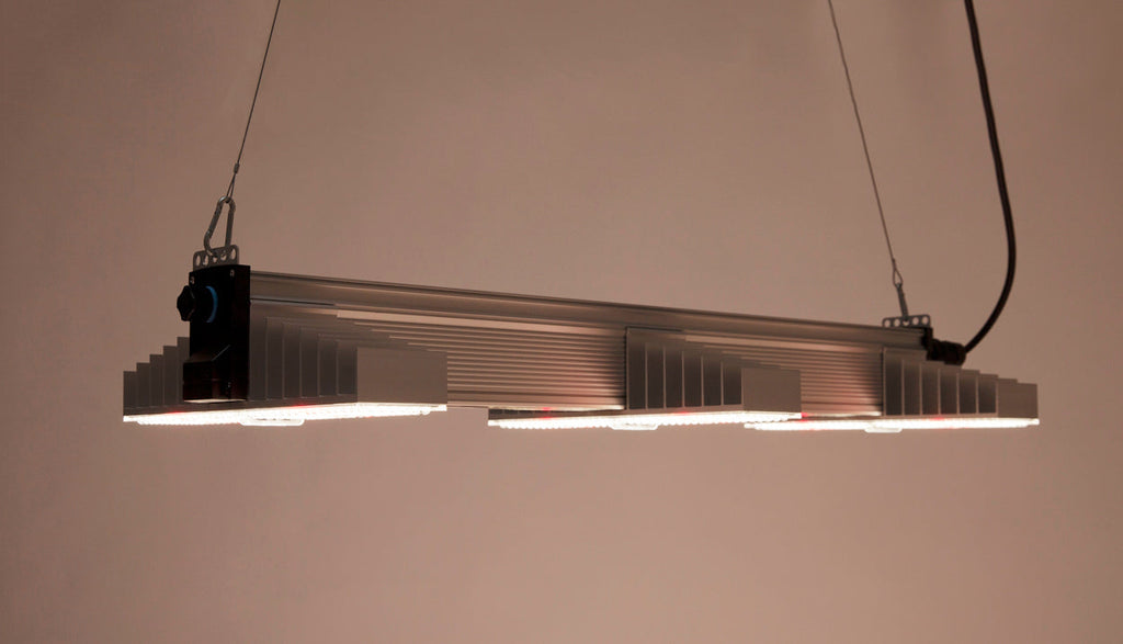 SANlight EVO 3-100 1.5, 200W LED