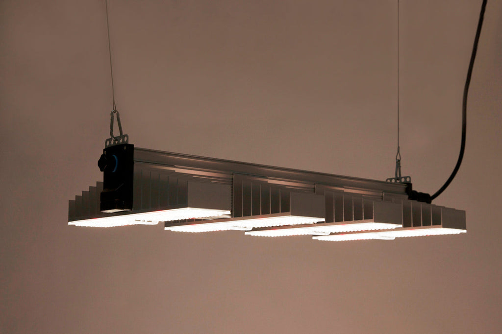 SANlight EVO 4-80 1.5, 265W LED