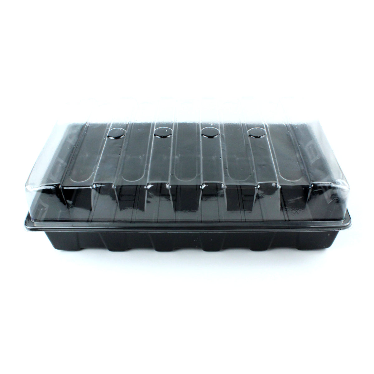 Anzucht Gewächshaus