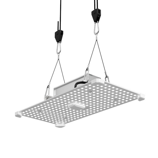 Anzucht Wachstum LED Grow Lampe Lumii black blade 100 Watt