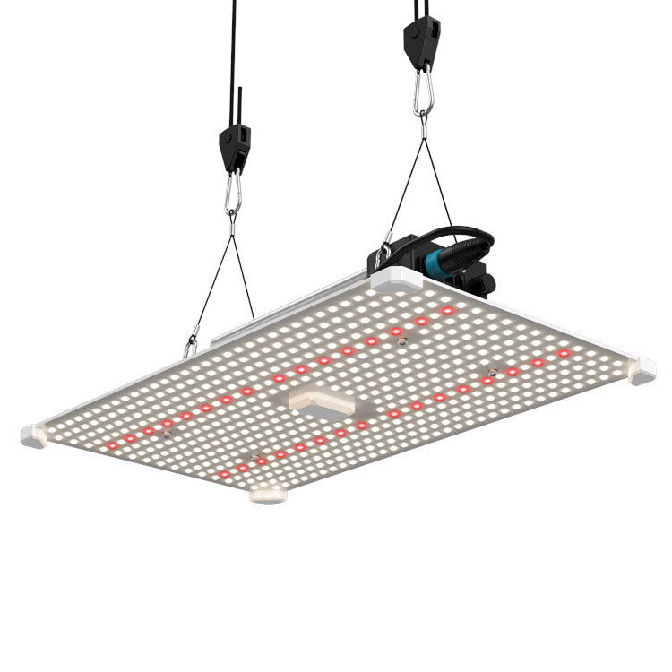 Lumii black blade 200 Watt Grow LED Lampe