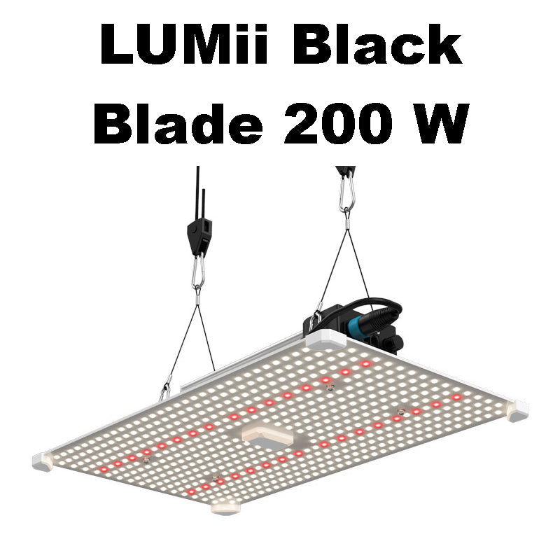 Growbox Komplettset 80x80 cm Lumii Black Blade 200 Watt