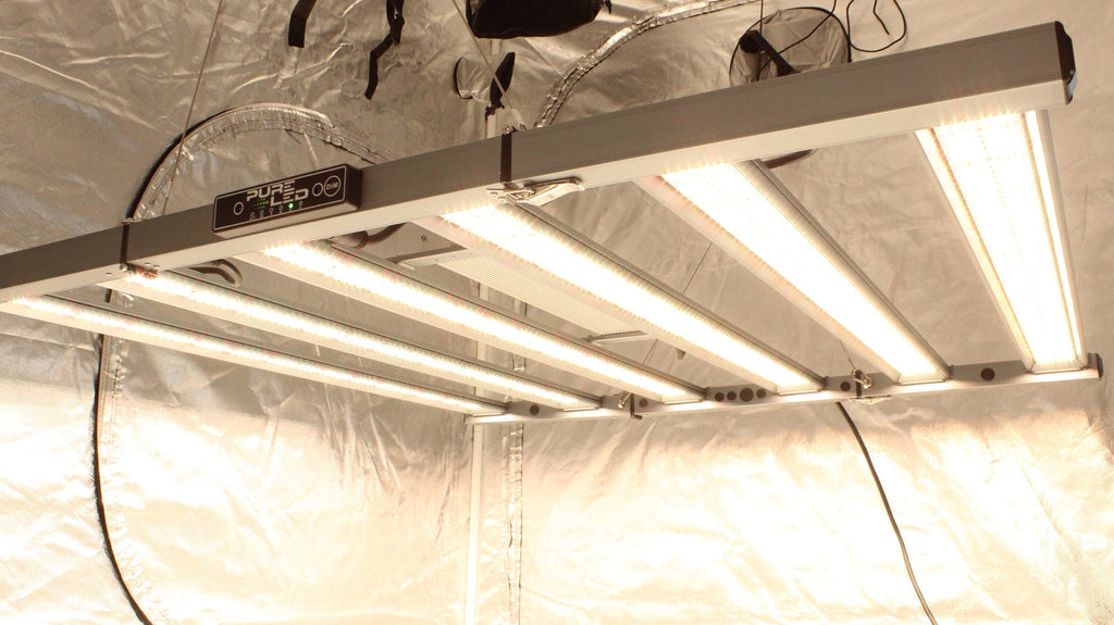 PureLED Pro V2.0 680 W