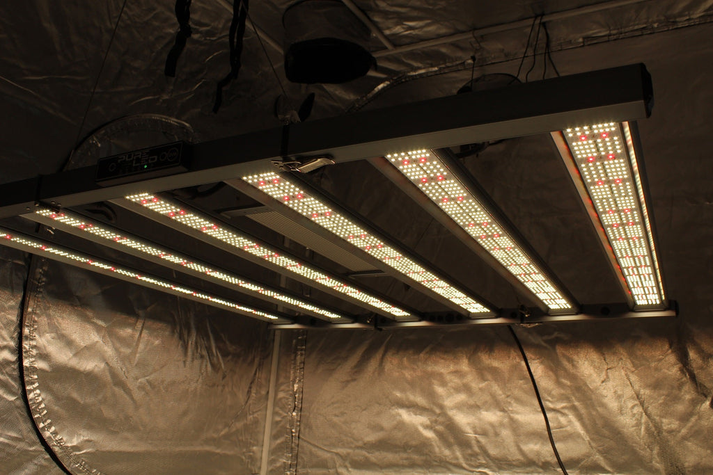 PureLED Pro V2.0 680 W