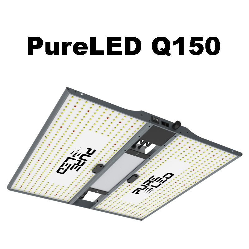 Growbox Komplettset 90x90x180 cm