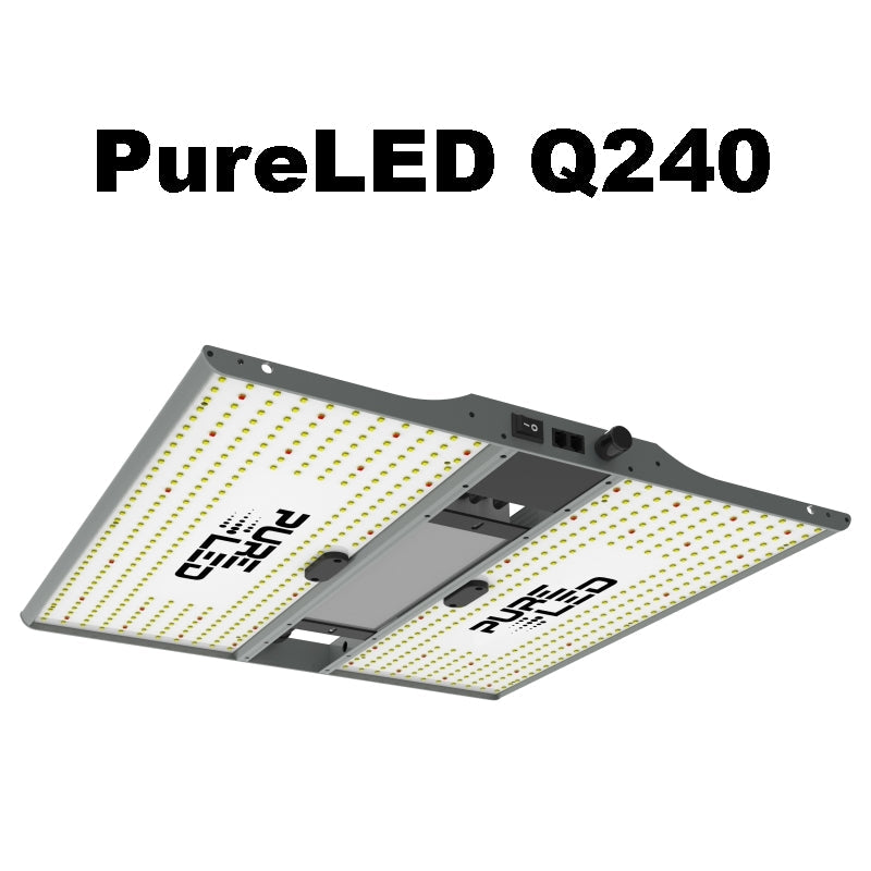 Growbox Komplettset 80x80 cm Pure LED Q240 Watt
