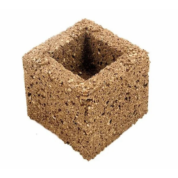 Eazy Plug Block Anzucht Stecklinge