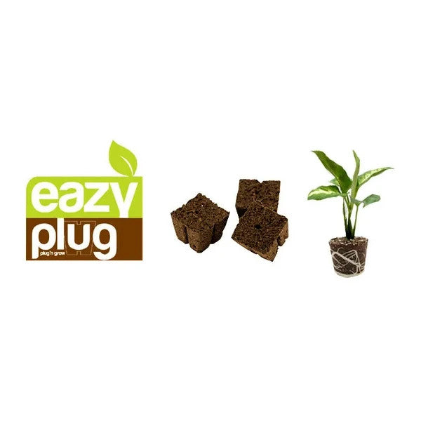 Eazy Plug 3,5 cm einzeln